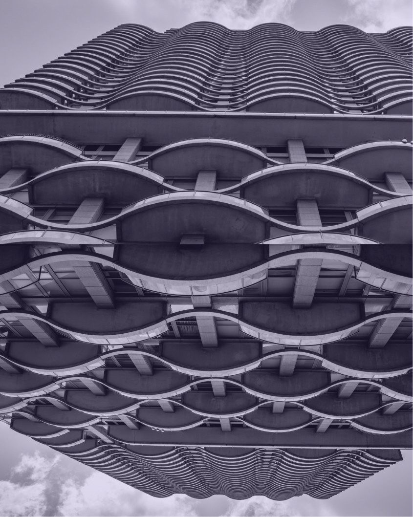 有機的な構造を写したビジュアル